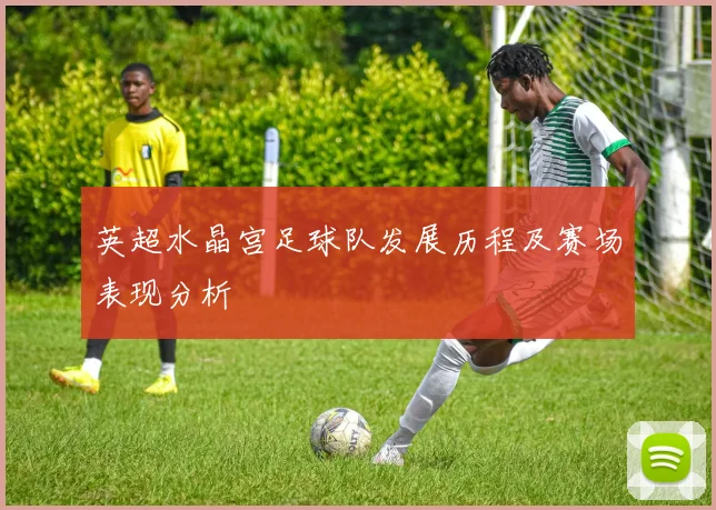 英超水晶宫足球队发展历程及赛场表现分析