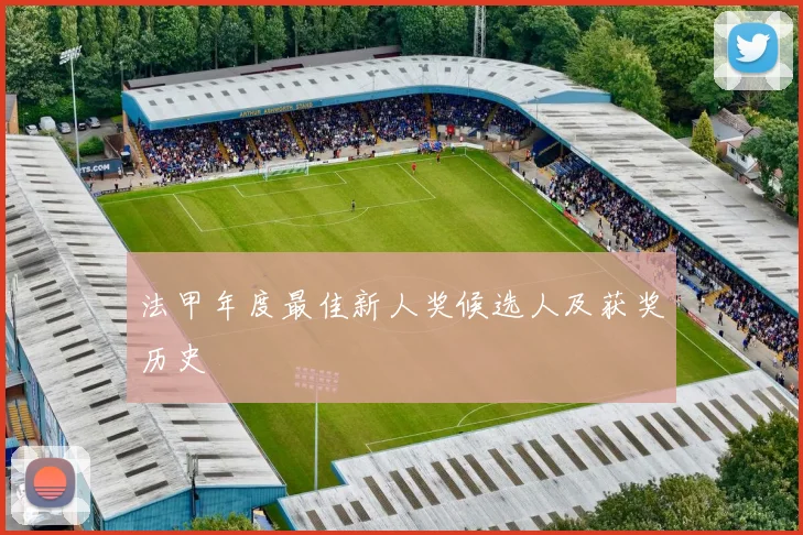 法甲年度最佳新人奖候选人及获奖历史